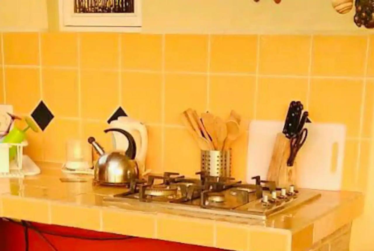 Courtesy Apartments Aruba Oranjestad Dış mekan fotoğraf